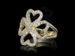 ring visual